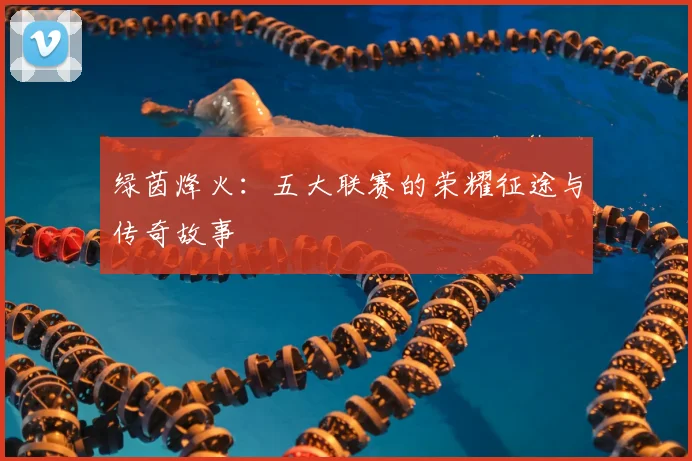 绿茵烽火：五大联赛的荣耀征途与传奇故事
