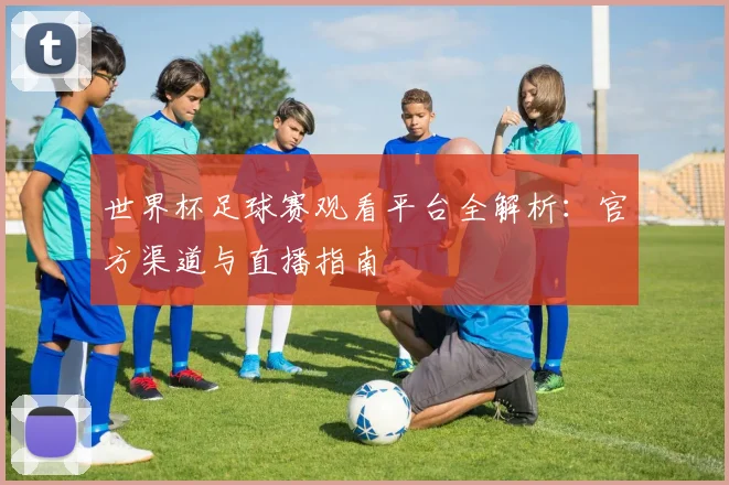 世界杯足球赛观看平台全解析：官方渠道与直播指南