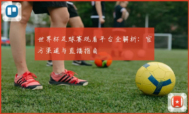 世界杯足球赛观看平台全解析:官方渠道与直播指南